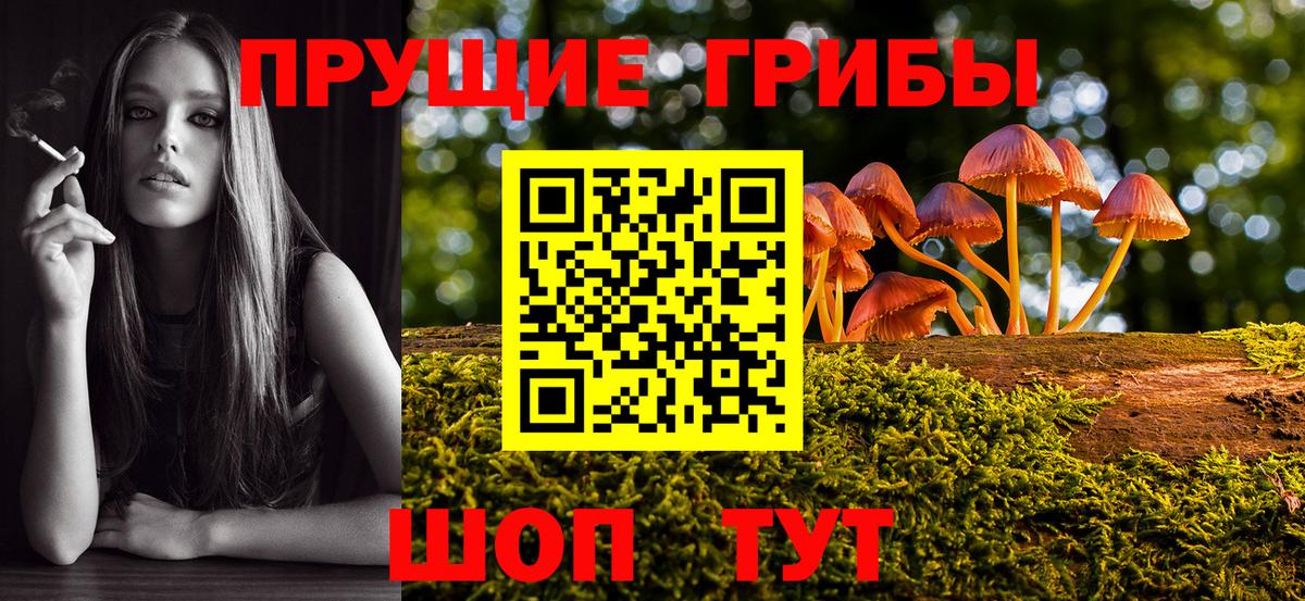 Галлюциногенные грибы мицелий  Галлюциногенные грибы Magic Shrooms  Лянтор  Вход с VPN 